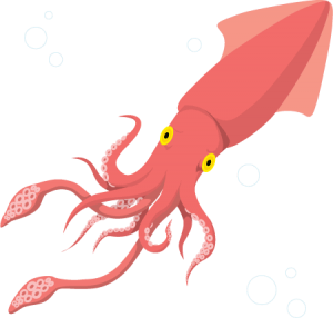 Squid PNG-47203